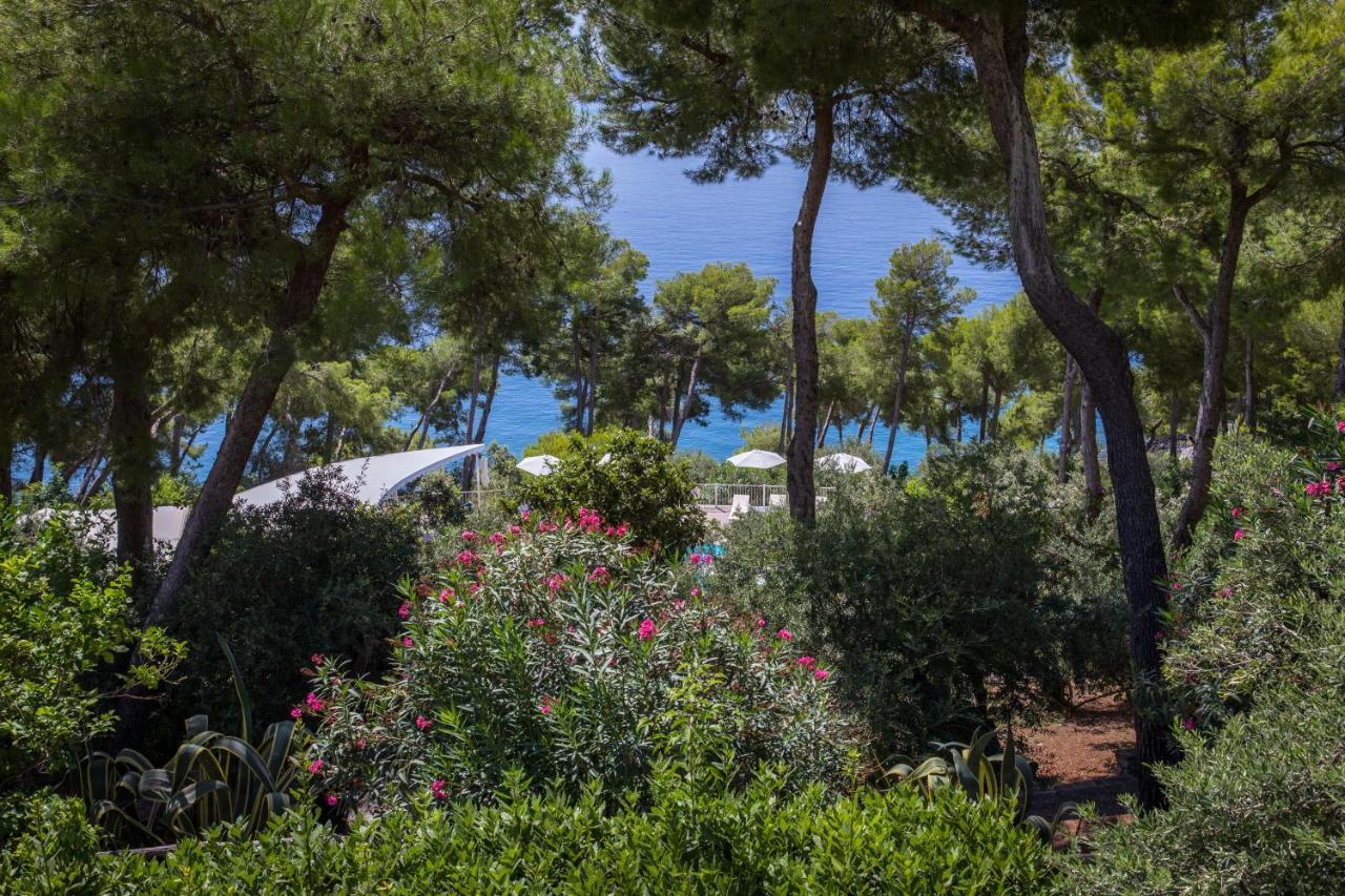 Hotel Villa Delle Meraviglie Maratea Exterior photo